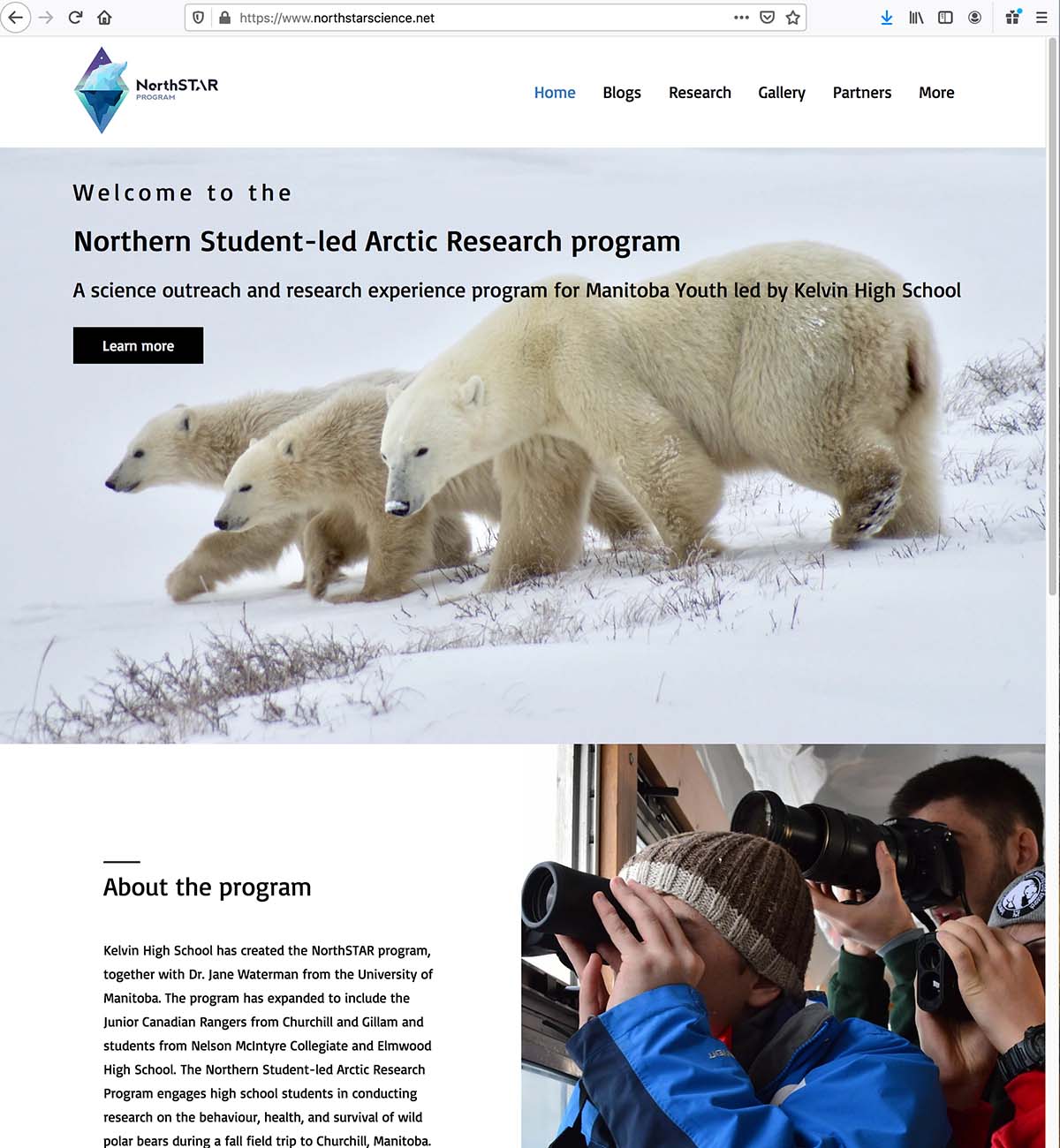 6b151140-c338-4976-8bee-a536df5bb13a_Kelvin%20Polar%20Bears%204.jpg